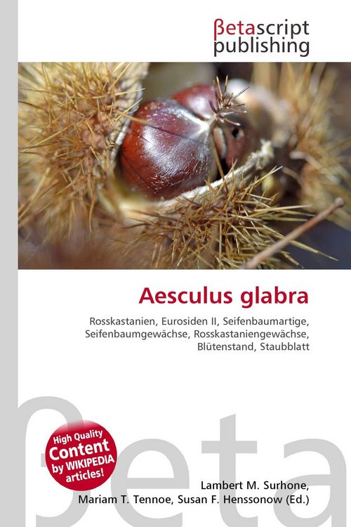Produktbild: Aesculus glabra