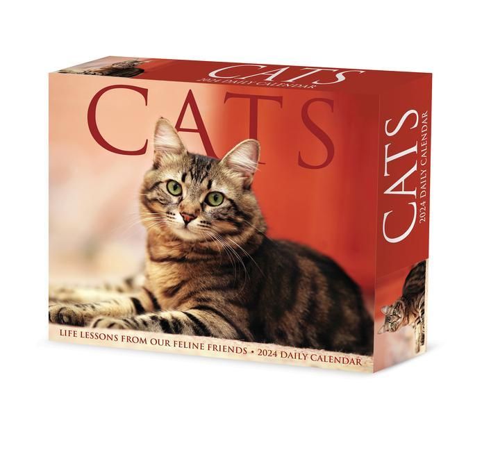 Produktbild: Willow Creek Press: Cats 2024 6.2 X 5.4 Box Calendar