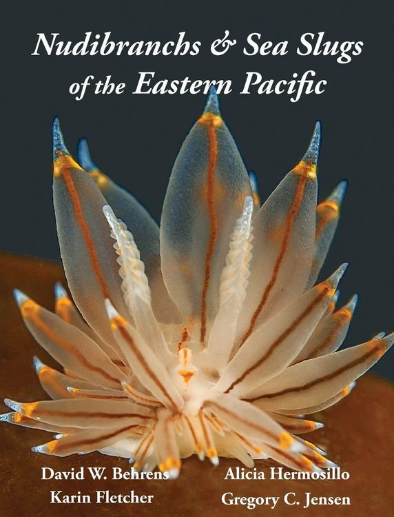 Produktbild: Nudibranchs & Sea Slugs of the Eastern Pacific