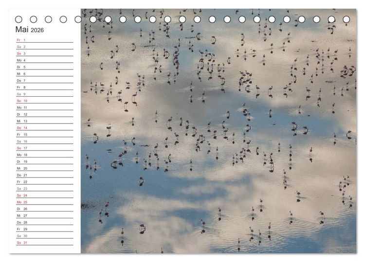 Produktbild: Emotionale Momente: Mein wildes Afrika (Tischkalender 2026 DIN A5 quer), CALVENDO Monatskalender