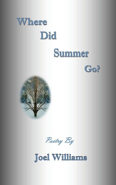 Produktbild: Where Did Summer Go?