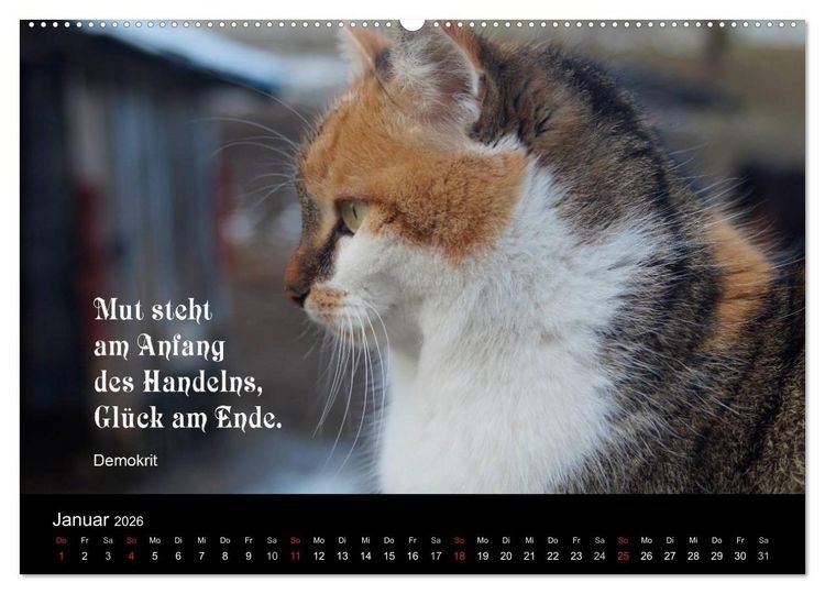 Produktbild: Gl&uuml;ckskatze - Mit Zitaten zum Thema Gl&uuml;ck (Wandkalender 2026 DIN A2 quer), CALVENDO Monatskalender