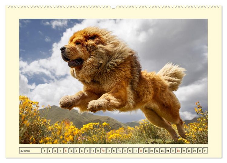 Produktbild: Tibet Mastiffs. Stolze Seelen im Wind der Berge (hochwertiger Premium Wandkalender 2026 DIN A2 quer), Kunstdruck in Hochglanz