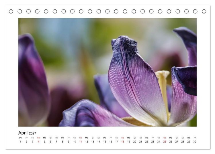 Produktbild: Naturkunstwerke (Tischkalender 2027 DIN A5 quer), CALVENDO Monatskalender