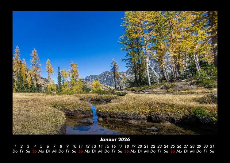 Produktbild: B&auml;ume 2026 Fotokalender DIN A3