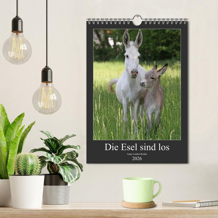 Produktbild: Die Esel sind los (Wandkalender 2026 DIN A4 hoch), CALVENDO Monatskalender