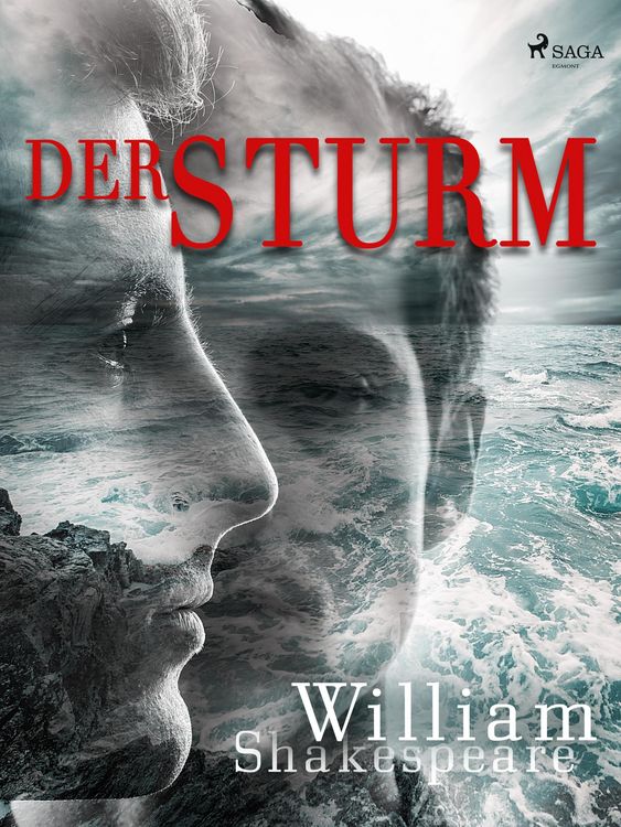 Produktbild: Der Sturm
