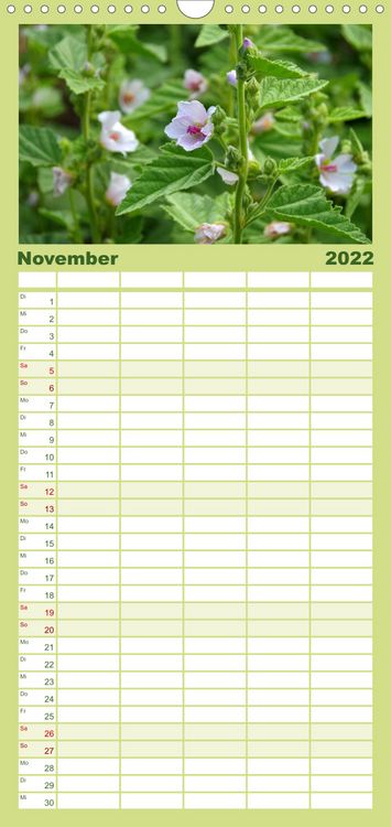 Produktbild: Familienplaner Arzneipflanzen (Wandkalender 2022 , 21 cm x 45 cm, hoch)