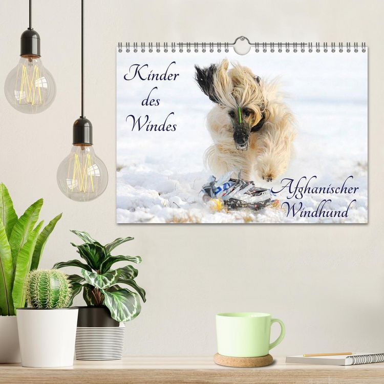 Produktbild: Kinder des Windes - Afghanischer Windhund (Wandkalender 2026 DIN A4 quer), CALVENDO Monatskalender