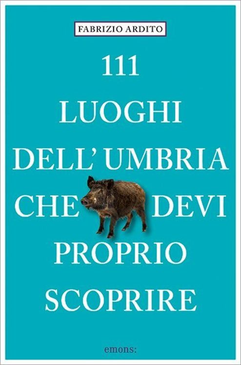 Produktbild: 111 luoghi dell'Umbria che devi proprio scoprire
