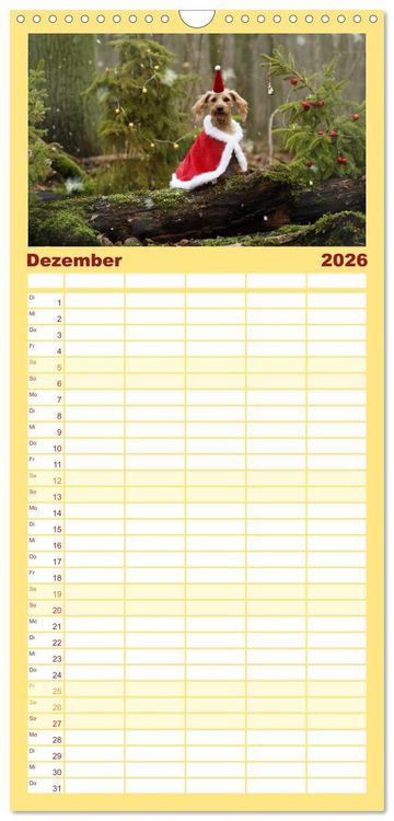 Produktbild: Familienplaner 2026 - DACKELmix Elli Pirelli mit 5 Spalten (Wandkalender, 21 x 45 cm) CALVENDO