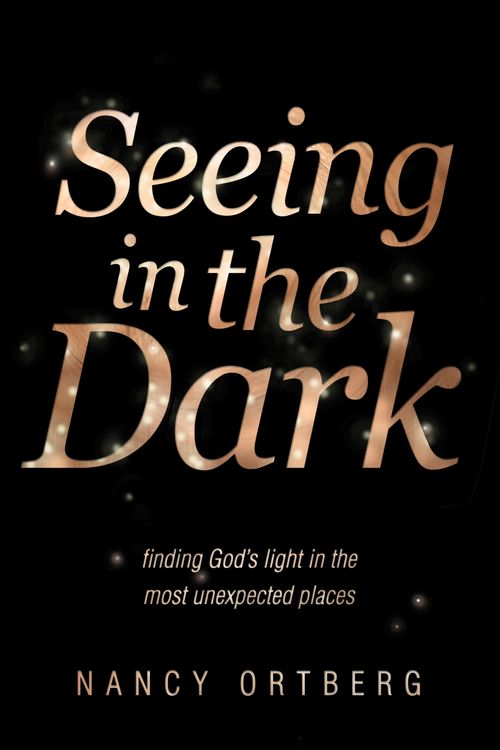 Produktbild: Seeing in the Dark