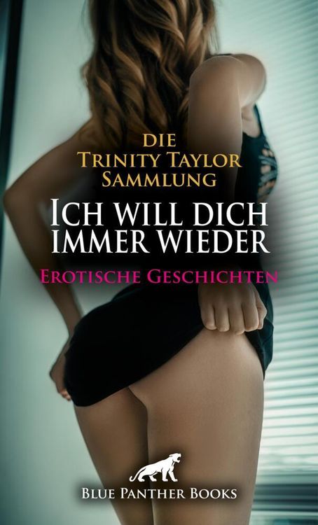 Produktbild: Ich will dich immer wieder | 22 Erotische Geschichten