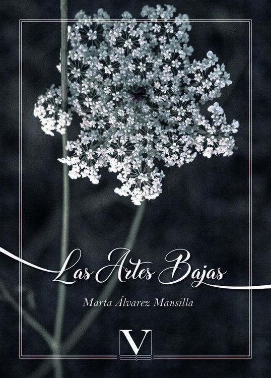 Produktbild: Las artes bajas