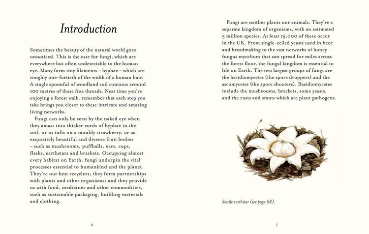 Produktbild: The Fungi Spotter's Guide