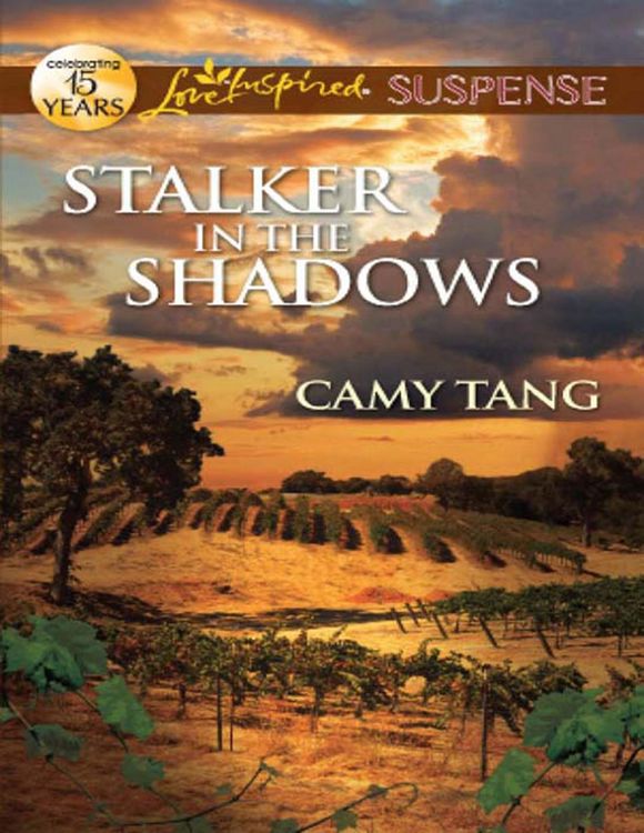 Produktbild: Stalker In The Shadows