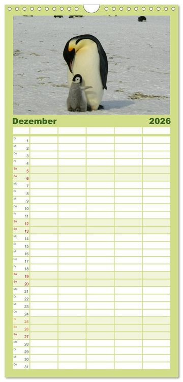 Produktbild: Familienplaner 2026 - Pinguine - Watscheln im festlichen Kleid mit 5 Spalten (Wandkalender, 21 x 45 cm) CALVENDO