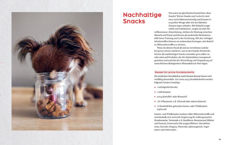 Produktbild: Oh Happy Dog!