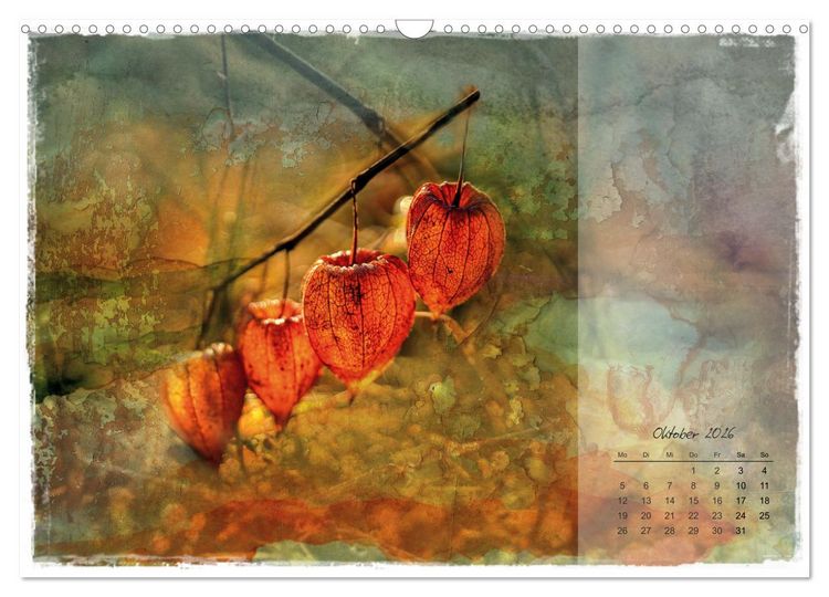 Produktbild: Bl&uuml;te trifft auf Aquarell (Wandkalender 2026 DIN A3 quer), CALVENDO Monatskalender