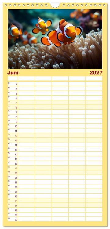 Produktbild: Familienplaner 2027 - Die Magie der Masse mit 5 Spalten (Wandkalender, 21 x 45 cm) CALVENDO