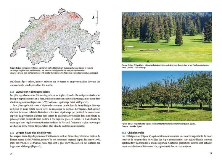 Produktbild: La pratique agroforesti&egrave;re en Suisse