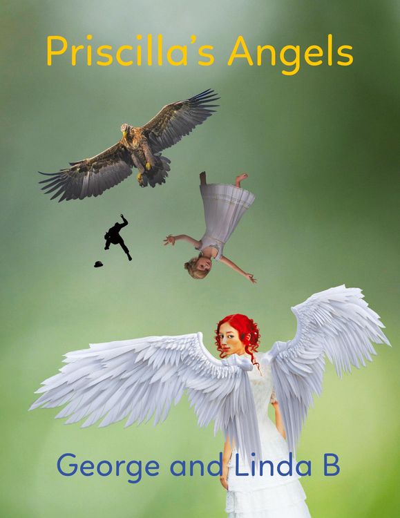 Produktbild: Priscilla's Angels