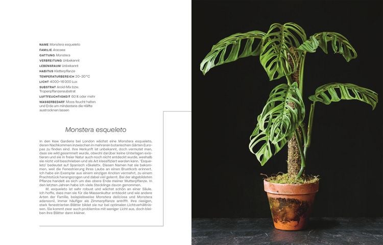 Produktbild: Urban Jungle Style