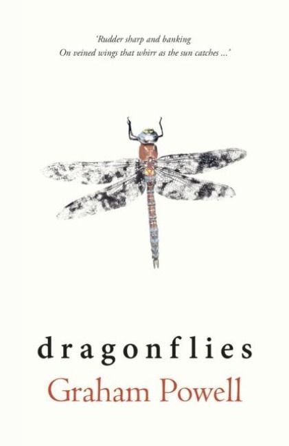 Produktbild: Dragonflies
