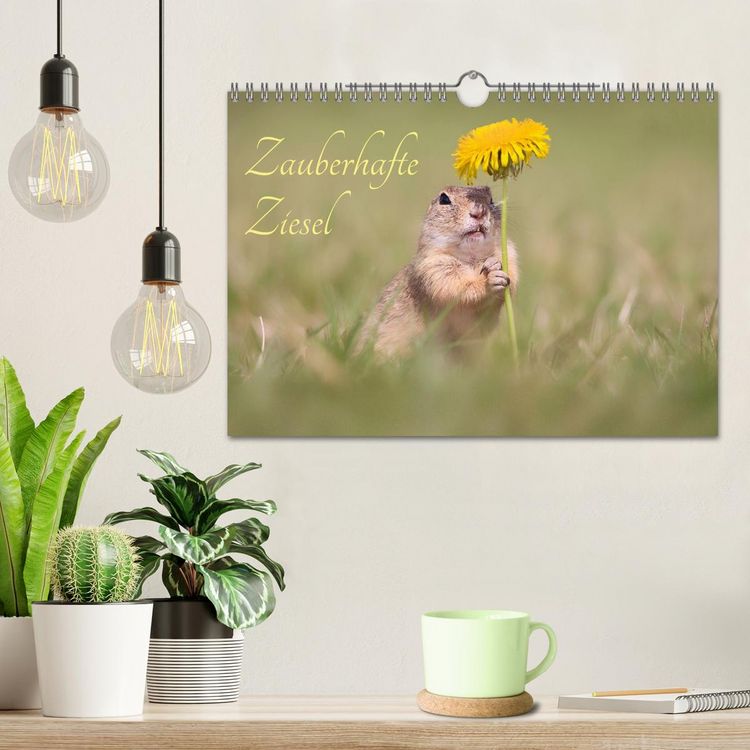 Produktbild: Zauberhafte Ziesel (Wandkalender 2026 DIN A4 quer), CALVENDO Monatskalender