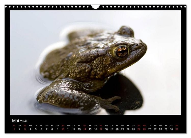 Produktbild: Natur erleben... (Wandkalender 2026 DIN A3 quer), CALVENDO Monatskalender