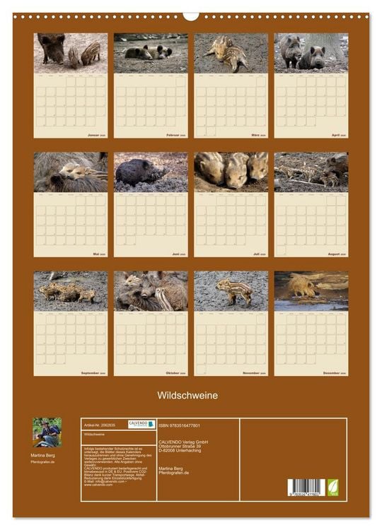 Produktbild: Wildschweine (Wandkalender 2026 DIN A2 hoch), CALVENDO Monatskalender