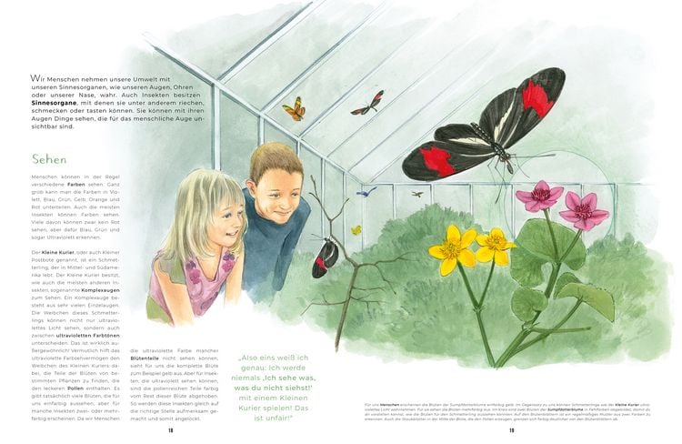 Produktbild: Insekten - Kleine Lebewesen, gro&szlig;e Vielfalt