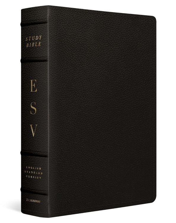 Produktbild: ESV Study Bible, Large Print