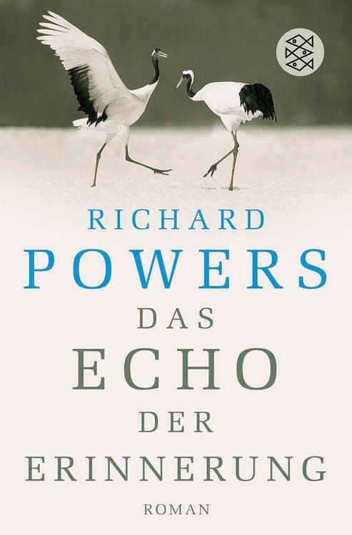 Produktbild: Das Echo der Erinnerung