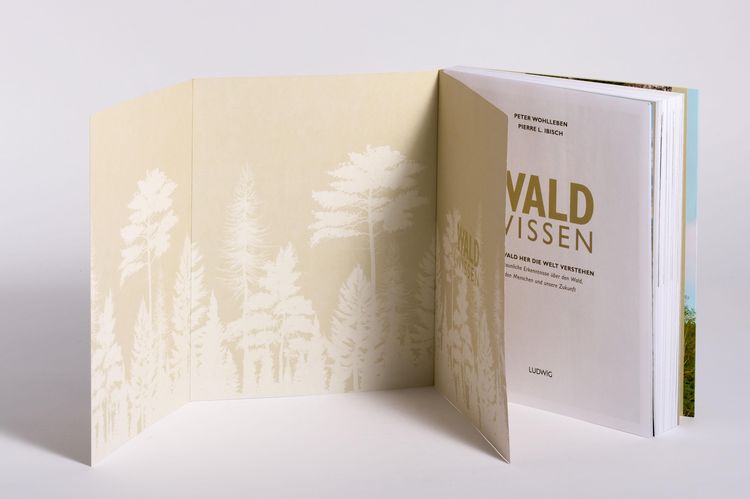 Livre Allemand Pour Enfants DIE NATUR - Volk Und Wissen - 1980 - Observer La Nature - État Correct