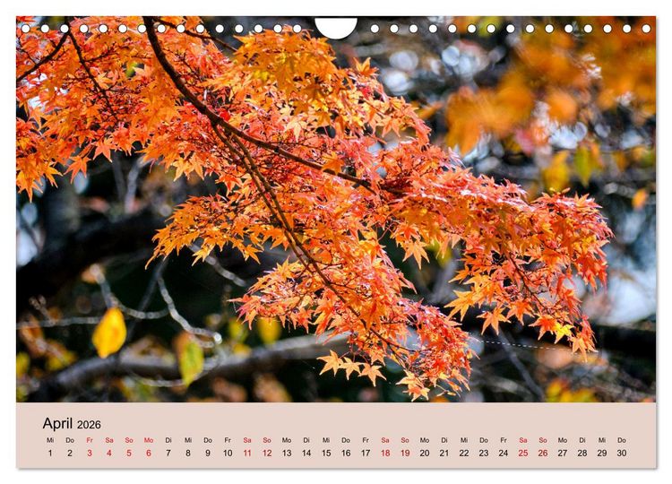 Produktbild: Japan im Herbst (Wandkalender 2026 DIN A4 quer), CALVENDO Monatskalender