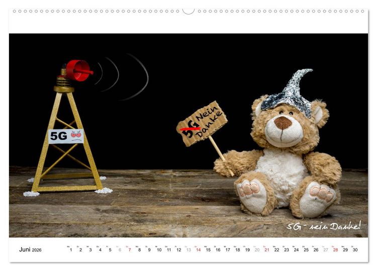 Produktbild: Verschw&ouml;rungs - und andere Theorien (hochwertiger Premium Wandkalender 2026 DIN A2 quer), Kunstdruck in Hochglanz