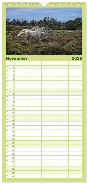 Produktbild: Familienplaner 2026 - Provence romantique mit 5 Spalten (Wandkalender, 21 x 45 cm) CALVENDO