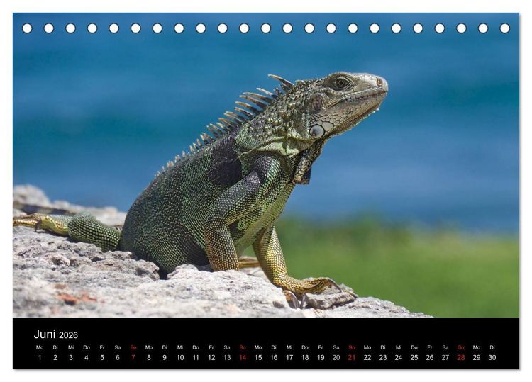 Produktbild: Trauminsel Puerto Rico (Tischkalender 2026 DIN A5 quer), CALVENDO Monatskalender