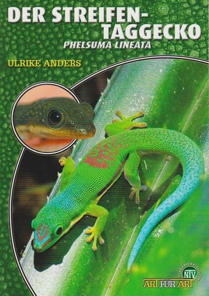 Produktbild: Der Streifentaggecko