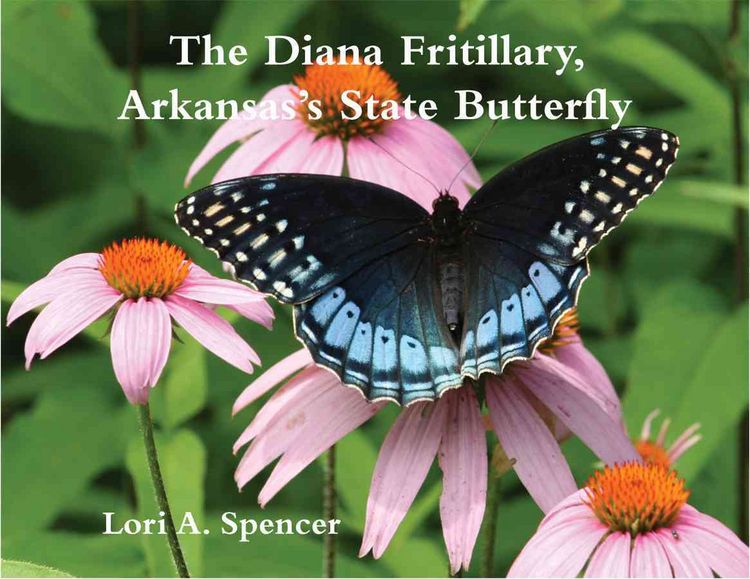 Produktbild: Diana Fritillary