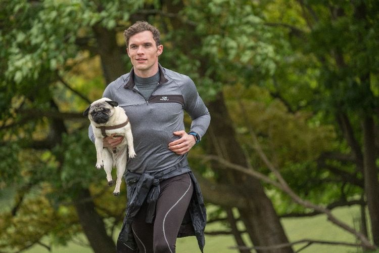 Produktbild: Ein Mops zum Verlieben