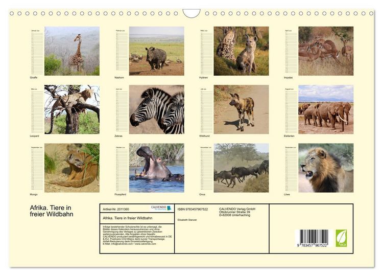 Produktbild: Afrika. Tiere in freier Wildbahn (Wandkalender 2026 DIN A3 quer), CALVENDO Monatskalender
