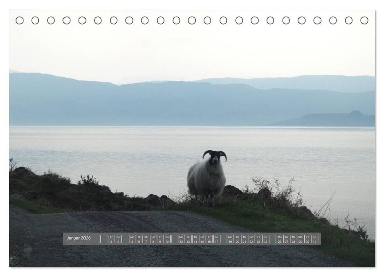 Produktbild: Schottlands Highland Schafe (Tischkalender 2026 DIN A5 quer), CALVENDO Monatskalender