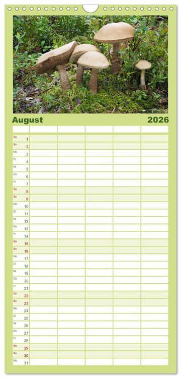 Produktbild: Familienplaner 2026 - Pilze - tolle Funde mit 5 Spalten (Wandkalender, 21 x 45 cm) CALVENDO