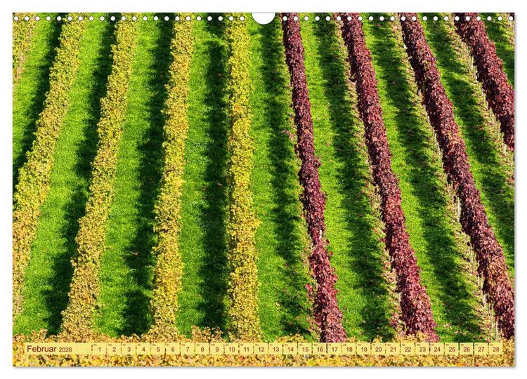 Produktbild: Farbenpr&auml;chtige Weinberge (Wandkalender 2026 DIN A3 quer), CALVENDO Monatskalender