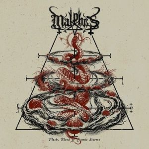 Produktbild: Flesh,Blood & Cosmic Storms