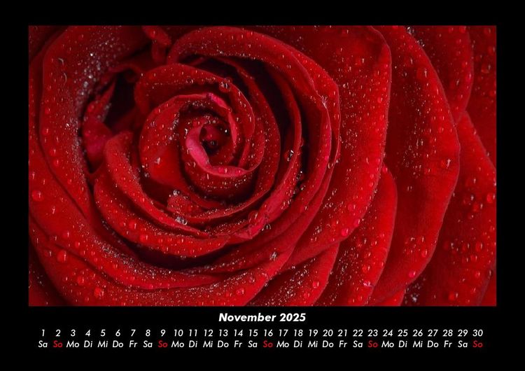 Produktbild: Rosentraum 2025 Fotokalender DIN A3