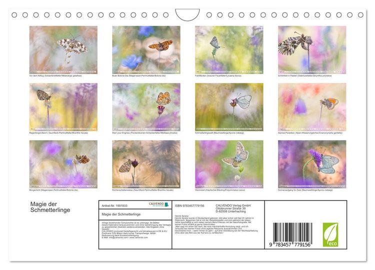 Produktbild: Magie der Schmetterlinge (Wandkalender 2026 DIN A4 quer), CALVENDO Monatskalender