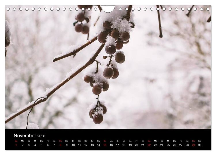 Produktbild: Meine Heimat Westerwald (Wandkalender 2026 DIN A4 quer), CALVENDO Monatskalender